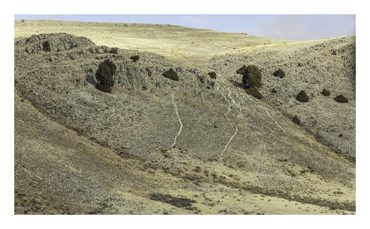 National Elk Refuge